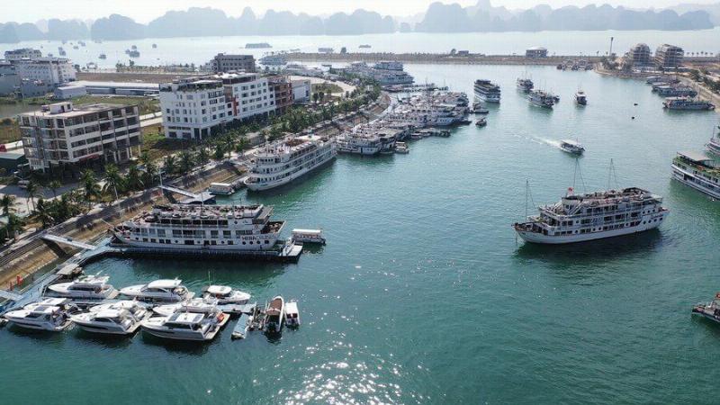 Biểu đồ hoặc hình ảnh minh họa so sánh các loại hình nghỉ dưỡng ở Hạ Long (Resort Tuần Châu, Khách sạn Bãi Cháy, Du thuyền Hạ Long)